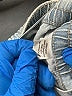 SO 100% Cotton Blue Jeans Size 16 - photo 8