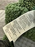 Madewell 100% Polyester Green Faux Fur Jacket Size S - photo 7