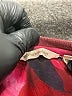 Soft Surroundings Burgundy Long Sleeve Blouse Size XL (petite) - photo 7