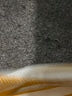 Zara Gold Short Sleeve Turtleneck Size S - photo 8