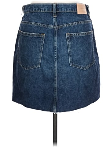 Everlane Denim Skirt (view 2)