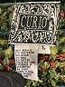 Curio Green Cardigan Size L - photo 7