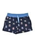 Patagonia 100% Nylon Argyle Blue Shorts Size XL (kids) - photo 1