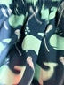 Assorted Brands 100% Polyester Teal Blue Athletic Shorts Size L (youth) - photo 3