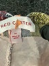 Red Carter 100% Cotton Chevron-herringbone Green Shorts Size XS - photo 3