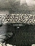 Papermoon Animal Print Gray Casual Skirt Size M - photo 4