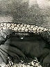 Papermoon Silver Sleeveless Blouse Size M - photo 4