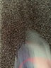 Guru Active Print Blue Casual Pants Size M - photo 5