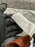 Edikted Brown Dress Pants Size XS - photo 8