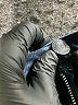 Jennifer Lopez Blue Jeans Size 14 - photo 4