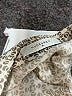 Nude Lucy Gray Short Sleeve Blouse Size S - photo 7