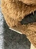 Assorted Brands 100% Polyester Tan Snow Jacket Size M - photo 7