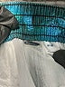 Old Navy 100% Polyester Teal Board Shorts Size 8 - photo 3
