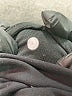 Lululemon Athletica Black Active Pants Size 4 - photo 8