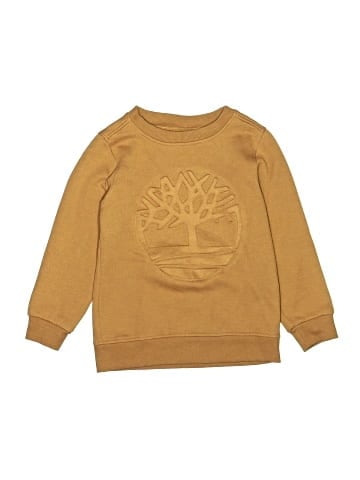 Timberland Sweatshirt (view 1)
