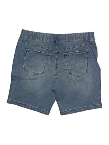 Terra & Sky Denim Shorts (view 2)