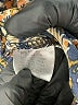 Ci Sono Paisley Blue Shorts Size M - photo 4