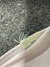Wilfred White Cocktail Dress Size 6 - photo 8