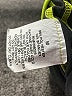 Bcg Green Athletic Shorts Size M - photo 4