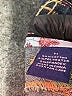 Amethyst Jeans Blue Jeans Size 11 - photo 8