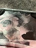 Evolution and Creation 100% Spandex Graphic Gray Active Pants Size S - photo 7