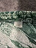 Unbranded Paisley Green Shorts Size XXL - photo 3
