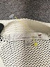 Lovers + Friends White Pullover Sweater Size XS - photo 7
