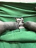Always Solid Green Shorts Size L - photo 3