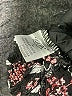 Julia 100% Viscose Floral Black Casual Pants Size L - photo 7
