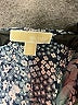 MICHAEL Michael Kors Blue 3/4 Sleeve Blouse Size 3X - photo 7