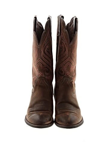 Ariat Boots (view 2)