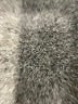Worth Graphic Ivory Formal Skirt Size 10 - photo 4