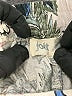 Jolt Tropical Blue Shorts Size 1 - photo 3