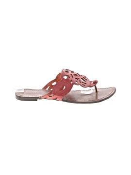 Assorted Brands Flip Flops