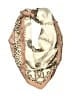 Unbranded Animal Print Ivory Scarf One size - photo 1