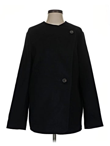 Everlane Wool Coat (view 1)