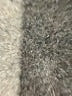 Ann Taylor LOFT 100% Polyester Solid Brown Casual Dress Size 10 - photo 8