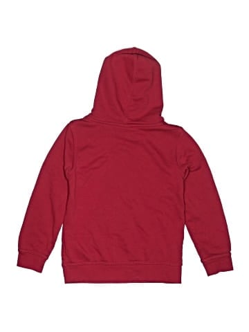 Nike Pullover Hoodie (view 2)