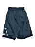 Adidas 100% Polyester Graphic Blue Athletic Shorts Size S - photo 2