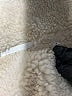 Uniqlo Tan Coat Size S - photo 6