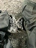 Unbranded Chevron-herringbone Black Dress Pants Size 16 - photo 6