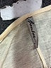Bamboo Ivory Tan Short Sleeve Top Size S - photo 7