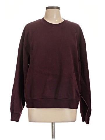 Aritzia Sweatshirt (view 1)