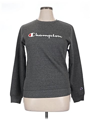 Champion Sweatshirt (view 1)