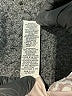 Eliza J Ivory Cocktail Dress Size 6 - photo 9