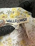 Wallflower Ivory Sleeveless Blouse Size M - photo 7