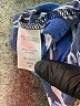 Roaman's Print Blue Casual Dress Size 26 - 28 - photo 8