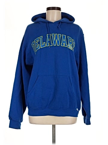 Russell Athletic Pullover Hoodie (view 1)