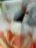 Unbranded 100% Polyester Ivory Long Sleeve Blouse Size XL - photo 7