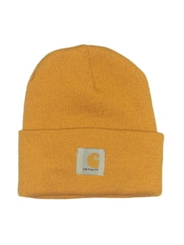 Carhartt Beanie (view 1)